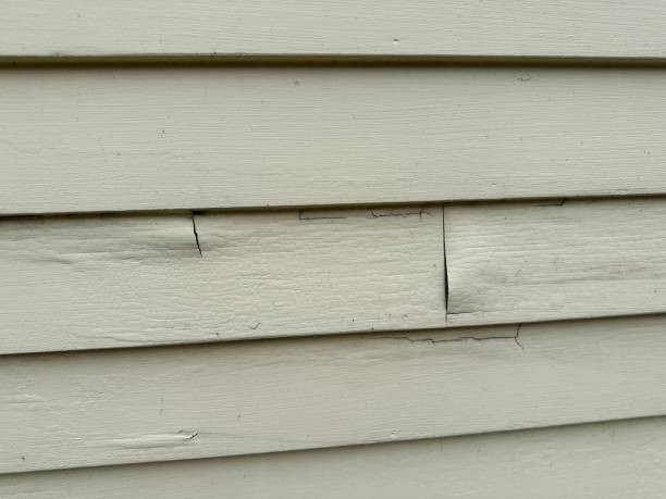 Best Wood Siding Installation  in Fort Lee, NJ